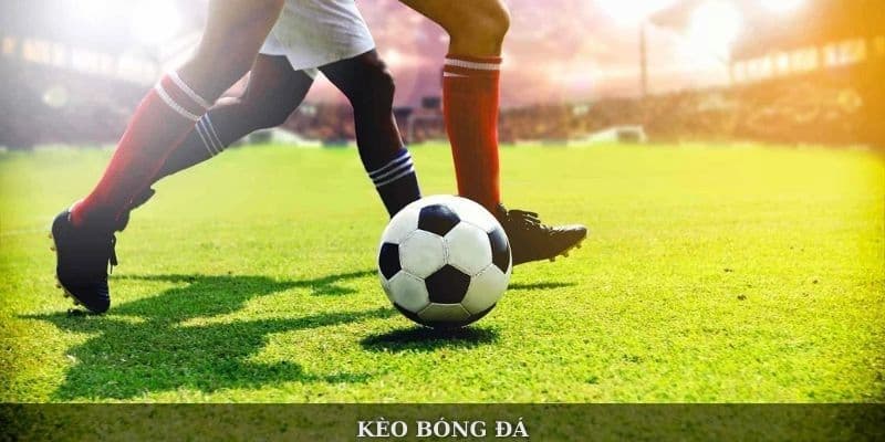 Chiến Lược Cá Cược Thể Thao tại RIKVIP