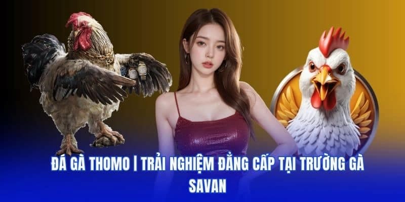 Những ưu điểm khi tham gia Đá gà Savan tại Rikvip